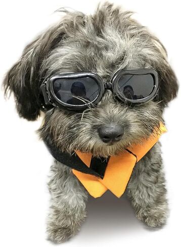 Enjoying Clear Dog Goggles Medium to Large Breed, Dog Sunglasses UV Protection, Large Dogs Driving Eye Protection, Outdoor Windproof Dustproof Anti-Fog, Breathable, Adjustable Straps, Transparent in Saudi Arabia