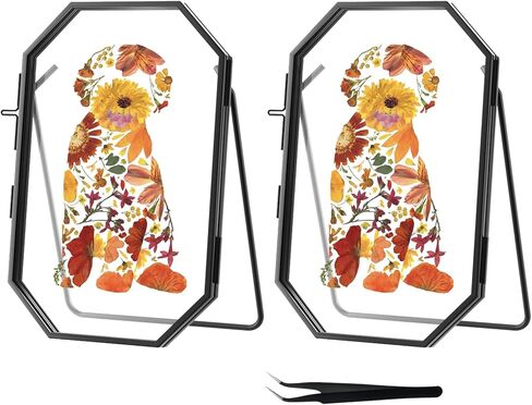 4x 6'' Gold Floating Frame Set Of 2 For Photo Sizes 2x3'',3.5x 5'',4x6'',Brass Metal Lace Edge Frames,Double Glass Adjustable Tabletop/Shelf Photo Frame, Christmas Framed Wall Art Craft Ornaments Classy Gifts in Kuwait