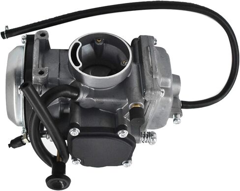 munirater Carburetor Carb Assembly Replacement for YFM 250 2WD 1999-2004 in Saudi Arabia