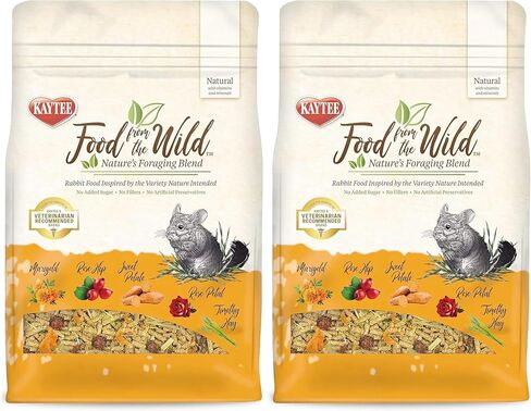 Food From the Wild Chinchilla in Saudi Arabia