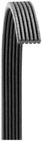 Dayco Poly Rib V-Ribbed Belt (6060654) in Saudi Arabia
