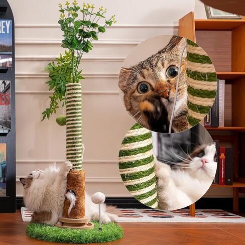 Cat Beds for Indoor Cats, Expandable Indoor Cat House and Cat Hideaway, Muti-Functional Cat Condo with Breathable and Wearing Resistant Cloth Cover, 15.75×15.75×15.75 inches, Grey in Kuwait