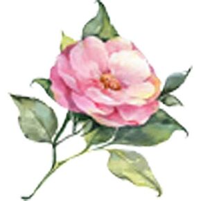 ملصق لاصق من الفينيل على شكل زهرة شجيرة وردية جميلة بألوان مائية (طول 2 بوصة) in Kuwait