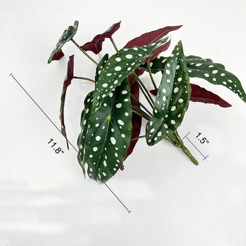 2Pcs Begonia Maculata Artificial Plant 11.8In Fake Trout Begonia Faux Polka Dot Greenery Plant for Office Desk Indoor Outdoor Home Planter Decor in Kuwait