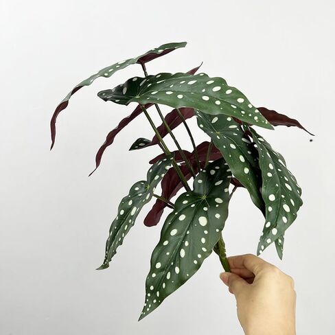 2Pcs Begonia Maculata Artificial Plant 11.8In Fake Trout Begonia Faux Polka Dot Greenery Plant for Office Desk Indoor Outdoor Home Planter Decor in Kuwait