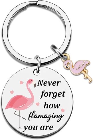 Flamingo Gifts Keychains for Women Inspirational Motivational Gift for Women Cheer Up Gifts for Woman Birthday Christmas Pink Flamingo Keychain for Female -Never Forget How Flamazing You Are in Saudi Arabia