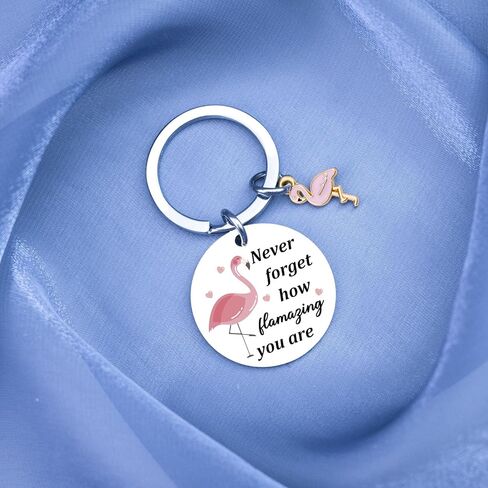Flamingo Gifts Keychains for Women Inspirational Motivational Gift for Women Cheer Up Gifts for Woman Birthday Christmas Pink Flamingo Keychain for Female -Never Forget How Flamazing You Are in Saudi Arabia