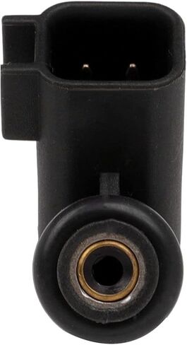 حاقن الوقود 1 ثقوب مجموعة من 6 قطعة تناسب فورد موستانج 3.8L 2000-2001 لفورد F-150 التراث 4.2L 2004 استبدال OEM 822-11162 in Saudi Arabia