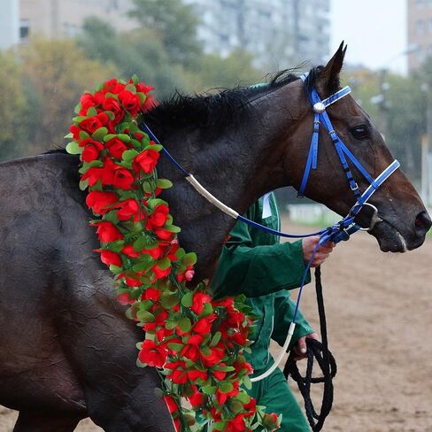 8 Pack 48ft Derby Horse Party Decorations Artificial Rose Vine Flowers Fake Flower Vine Derby Rose Artificial Flowers for Horse Race Day Party Supplies in Saudi Arabia