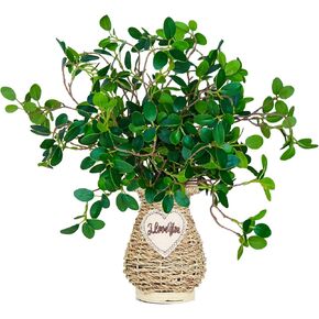 15 قطعة من فروع اللبخ مقاس 35.56 سم، سيقان الأوكالبتوس الخضراء الصناعية، سيقان خضراء صناعية للمنزل والمكتب والزفاف وديكور داخلي وخارجي (15) in Kuwait