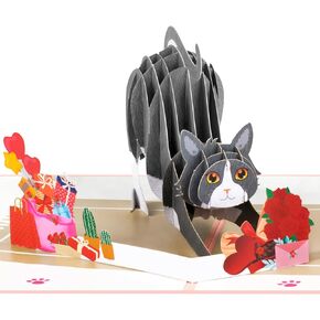 بطاقة زفاف منبثقة من Just Married من شركة GREETING ART، بطاقة رومانسية للعروس والعريس، والخطوبة، وبطاقة هدايا تهنئة الزفاف in Kuwait