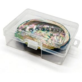 BRBASAP Large Abalone Shell Bowl with a Clear Box 4.7-5.12 Inch Natural Smudge Bowl for Sage Burning and Incense Sea Shell Smudging Bowl for Decor and Display in Saudi Arabia