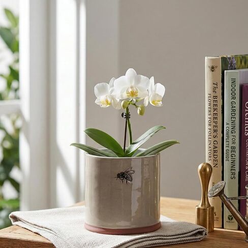 وعاء زهور بامبل بي 5 بوصة، متعدد الألوان in Kuwait