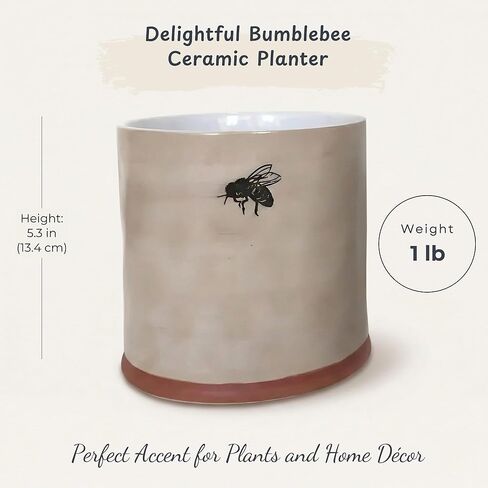 وعاء زهور بامبل بي 5 بوصة، متعدد الألوان in Kuwait