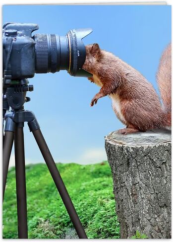 بطاقة عيد ميلاد مضحكة لها أو له أو لصديق أو زميل في العمل أو أخت أو أي شخص يحب صور الحيوانات المضحكة in Kuwait