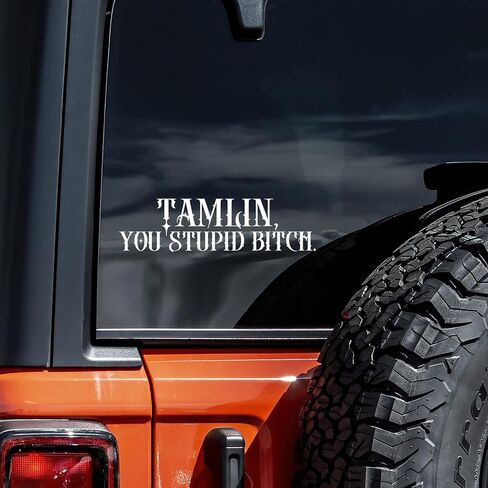 ACOTAR Tamlin You Stupid Bitch Decal Vinyl Sticker Auto Car Truck Wall Laptop | White | 8" x 2" in Saudi Arabia