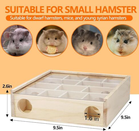 منزل هامستر هامستر هامستر هامستر ، منزل متاهة الهامستر السوري الخشبي ، ديكور موائل الحيوانات الأليفة الصغيرة ، مخابئ 6 غرف ، استكشاف نفق لألعاب الهامستر القزمي ، الجيربييل ، الفئران ، القضايا ، الماوس in Kuwait