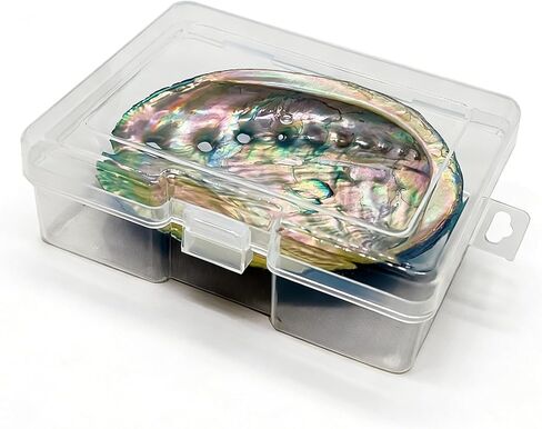 BRBASAP Large Abalone Shell Bowl with a Clear Box 4.7-5.12 Inch Natural Smudge Bowl for Sage Burning and Incense Sea Shell Smudging Bowl for Decor and Display in Saudi Arabia