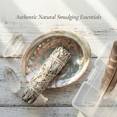 BRBASAP Large Abalone Shell Bowl with a Clear Box 4.7-5.12 Inch Natural Smudge Bowl for Sage Burning and Incense Sea Shell Smudging Bowl for Decor and Display in Saudi Arabia