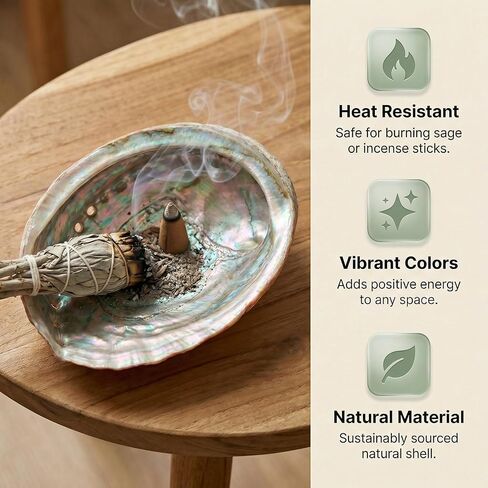 BRBASAP Large Abalone Shell Bowl with a Clear Box 4.7-5.12 Inch Natural Smudge Bowl for Sage Burning and Incense Sea Shell Smudging Bowl for Decor and Display in Saudi Arabia