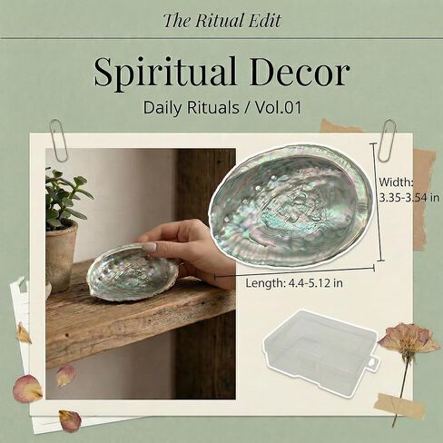 BRBASAP Large Abalone Shell Bowl with a Clear Box 4.7-5.12 Inch Natural Smudge Bowl for Sage Burning and Incense Sea Shell Smudging Bowl for Decor and Display in Saudi Arabia