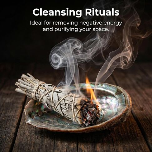 BRBASAP Large Abalone Shell Bowl with a Clear Box 4.7-5.12 Inch Natural Smudge Bowl for Sage Burning and Incense Sea Shell Smudging Bowl for Decor and Display in Saudi Arabia