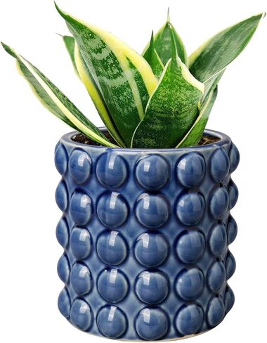 DILATATA Set of 2 Ceramic Planter Pots with Drainage Hole and Saucer, Round Flower Pot Hobnail Modern Planter Pots for Indoor & Outdoor Plants - 4 Inch & 6 Inch, Blue in Kuwait
