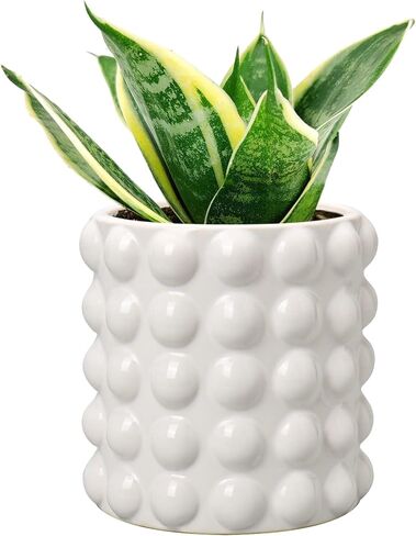 DILATATA Set of 2 Ceramic Planter Pots with Drainage Hole and Saucer, Round Flower Pot Hobnail Modern Planter Pots for Indoor & Outdoor Plants - 4 Inch & 6 Inch, Blue in Kuwait