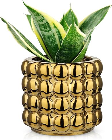 DILATATA Set of 2 Ceramic Planter Pots with Drainage Hole and Saucer, Round Flower Pot Hobnail Modern Planter Pots for Indoor & Outdoor Plants - 4 Inch & 6 Inch, Blue in Kuwait