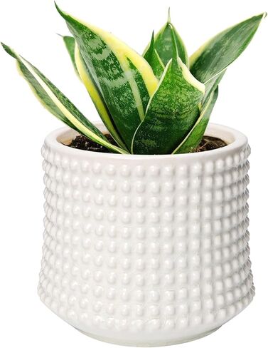 DILATATA Set of 2 Ceramic Planter Pots with Drainage Hole and Saucer, Round Flower Pot Hobnail Modern Planter Pots for Indoor & Outdoor Plants - 4 Inch & 6 Inch, Blue in Kuwait