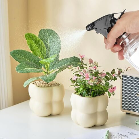 20 Pack Spray Bottles 8oz, Empty Plastic Spray Bottles with Adjustable Nozzle, Mini Refillable Bottles for Cleaning, Hair, Plant & Kitchen Use in Kuwait