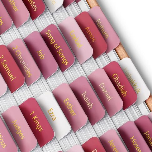 Mr. Pen- Bible Tabs, 75 Tabs, Plum Orchard, Gold Foil Embossed Lettering, Laminated Bible Tabs for Women and Men, Bible Tabs for Study Bible Index Tabs, Bible Book Tabs, Bible Labels Tabs in Saudi Arabia