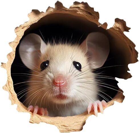 3D Mouse Wall Decal Sticker, 2 Pack Waterproof Removable Vinyl Stickers for Laptops, Cars, Wall, Furniture, Bedroom Decoration LB-0022 in Kuwait