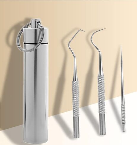 AKOAK 3 Pcs/Set 304 Stainless Steel Teeth Cleaning Tool Multi-Functional Portable Toothpick Storage Tube with Toothpick Holder, Ideal for Home Personal Oral Care（Silver） in Saudi Arabia