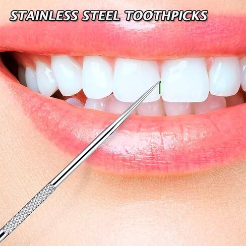AKOAK 3 Pcs/Set 304 Stainless Steel Teeth Cleaning Tool Multi-Functional Portable Toothpick Storage Tube with Toothpick Holder, Ideal for Home Personal Oral Care（Silver） in Saudi Arabia