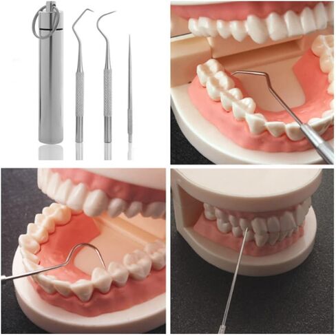 AKOAK 3 Pcs/Set 304 Stainless Steel Teeth Cleaning Tool Multi-Functional Portable Toothpick Storage Tube with Toothpick Holder, Ideal for Home Personal Oral Care（Silver） in Saudi Arabia