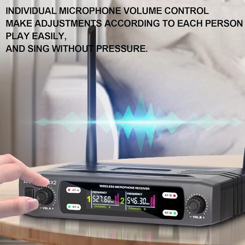 نظام ميكروفون لاسلكي BX2 UHF مع ميكروفون مزدوج محمول به واجهة XLR، نطاق 165 قدم، للكاريوكي العائلي، أداء المسرح، مشهد الزفاف، خطاب المؤتمر (رمادي) in Kuwait