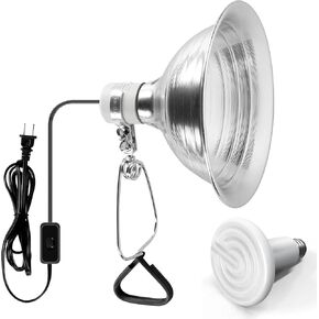 Simple Deluxe 150W Reptile Heat Bulb and 8.5 inch Clamp Light, 40-108℉ Digital Thermostat Controller and Thermometer Included, for Amphibian Pet & Incubating Chicken, Silver in Kuwait