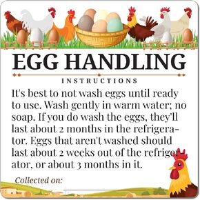 100pcs Premium Fresh Farm Eggs Handling Care Instructions Stickers Labels Accessories | 4 6 12 15 18 30 48 50 Egg Blank Cartons Basket Box Container Storing Extra Organizer (M02-3SS) in Kuwait