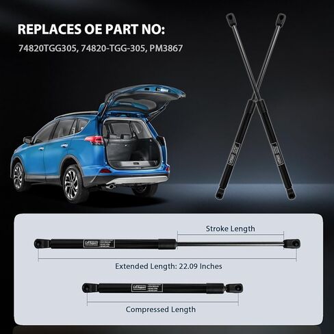 Rear Hatch Tailgate Lift Supports for Honda Civic 2017 2018 2019 2020 2021 Gas Shock Struts (Pack of 2) OE#74820TGG305 in Kuwait