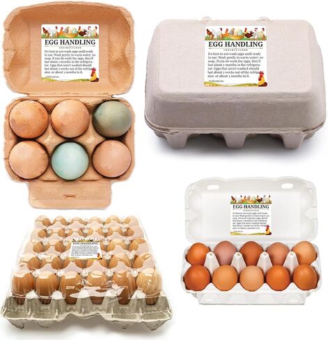 100pcs Premium Fresh Farm Eggs Handling Care Instructions Stickers Labels Accessories | 4 6 12 15 18 30 48 50 Egg Blank Cartons Basket Box Container Storing Extra Organizer (M02-3SS) in Kuwait