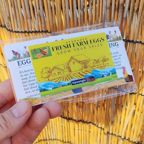 100pcs Premium Fresh Farm Eggs Handling Care Instructions Stickers Labels Accessories | 4 6 12 15 18 30 48 50 Egg Blank Cartons Basket Box Container Storing Extra Organizer (M02-3SS) in Kuwait