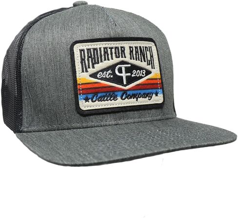 قبعة Rodeo Time Dale Brisby Radiator Ranch Bull Hauler Snapback - قبعة سائق الشاحنة الشبكية الغربية للرجال والنساء - نمط قابل للتعديل in Saudi Arabia