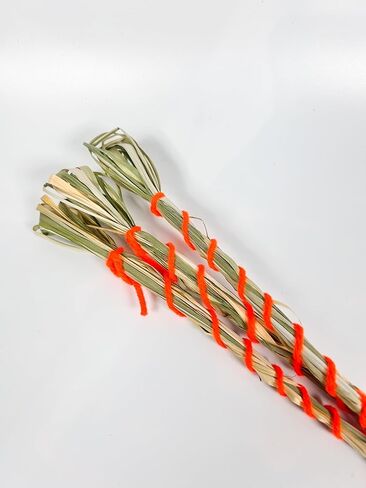 Natural Darbha Kusha Grass for Puja, Havan, Yagya, Karma Puja | Sacred Vedic Grass for Hindu Rituals & Home Temple | 12" Long Bundle Pack (12 Sticks) in Saudi Arabia