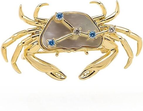 Zodiac Constellation Brooch for Women, 12 Astrology Sign Crystal Brooch Pin, Unique Birthday Gift in Saudi Arabia