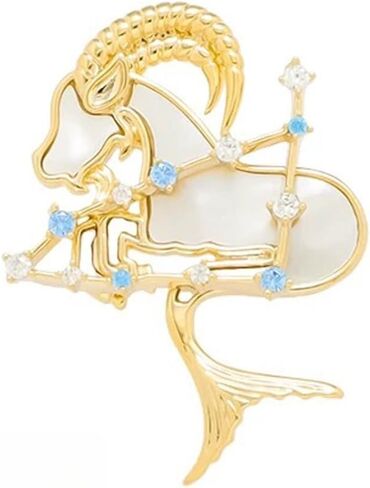 Zodiac Constellation Brooch for Women, 12 Astrology Sign Crystal Brooch Pin, Unique Birthday Gift in Saudi Arabia