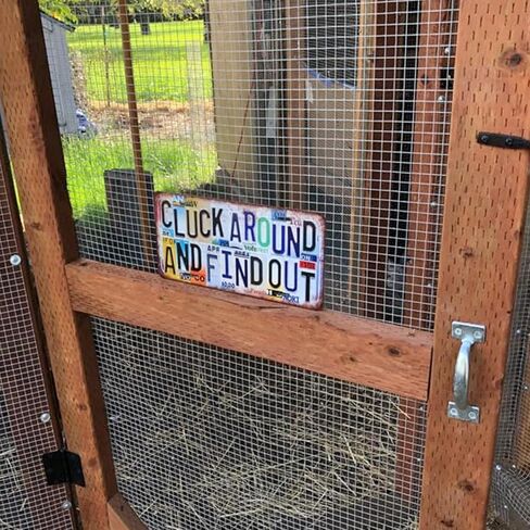 Vintage License plate Halloween Wall Decor Metal Sign Tin Signs - Do you like scary movies in Kuwait