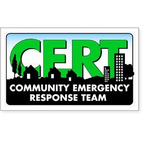 CafePress CERT Rectangle Sticker Rectangle Bumper Sticker Car Decal in Saudi Arabia