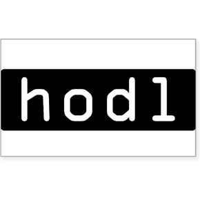 CafePress HODL Cryptocurrency Crypto Bitcoin Ethereu Sticker Rectangle Bumper Sticker Car Decal in Kuwait