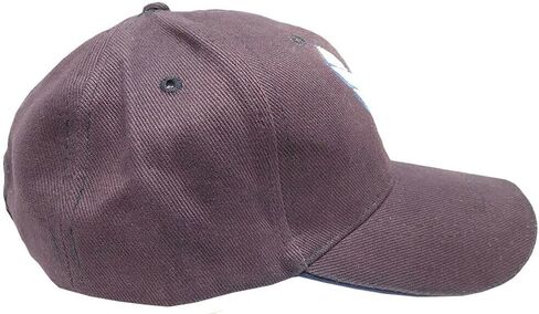 U.S. Air Force Embroidered Navy Blue Wings Hat - Military in Saudi Arabia